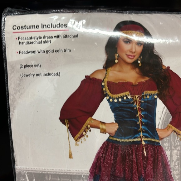 Gypsy Halloween costume size large brand new - Picture 2 of 4